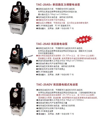 TAC電動(dòng)泵